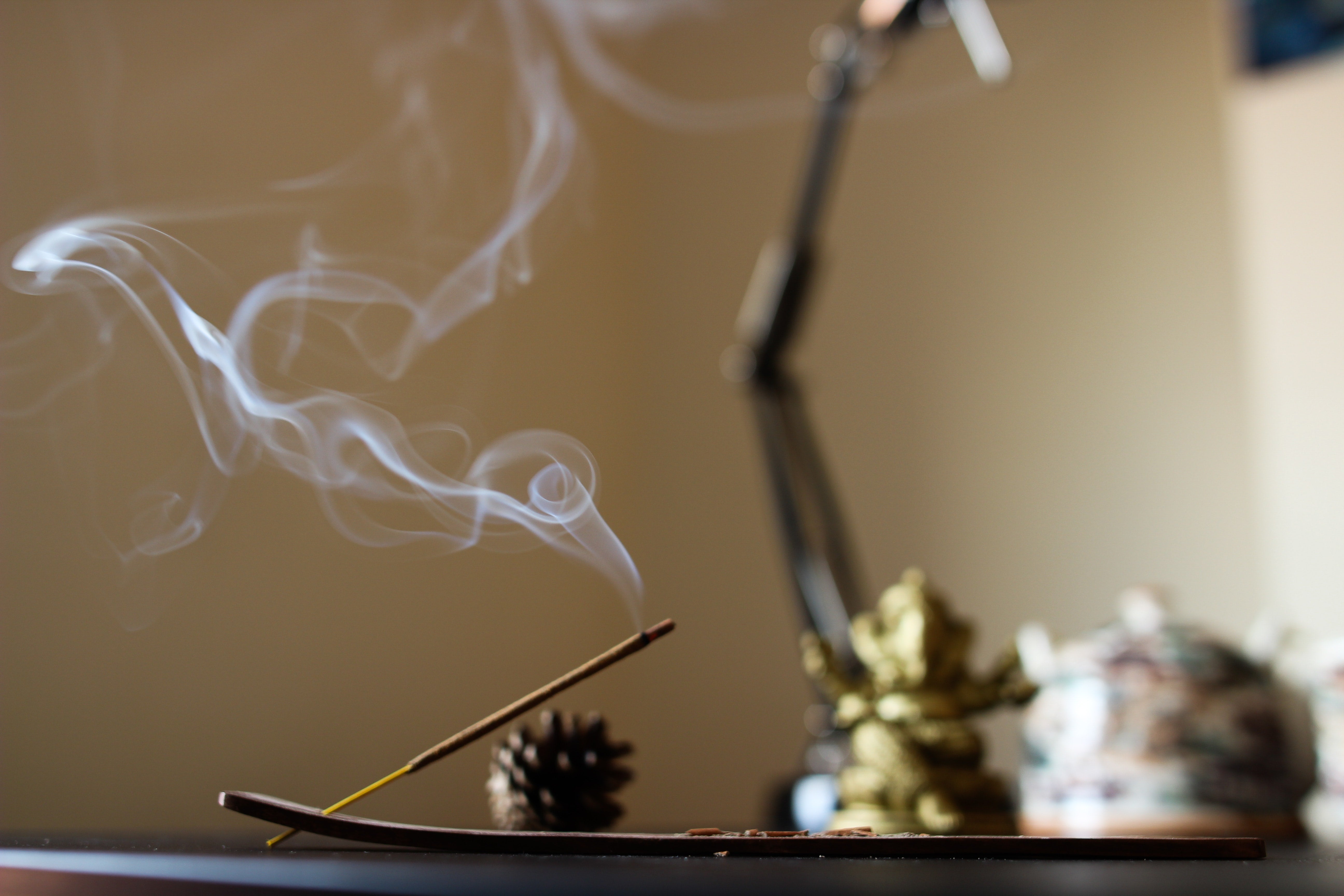 INCENSE FOR ALL: The Story and the Glory of Pure Cleansing